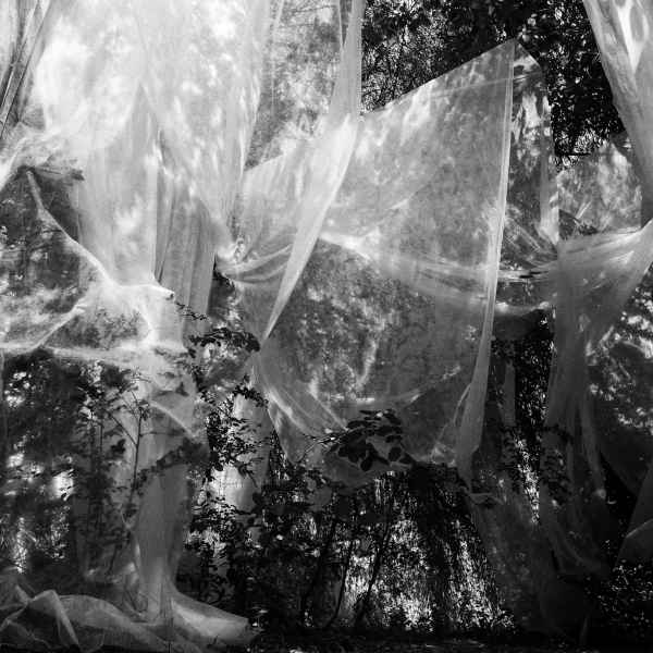 2 Foggy Path, 2015 2